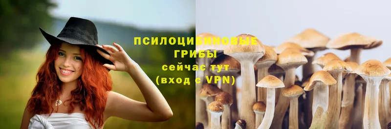 Псилоцибиновые грибы Psilocybe  Любань 